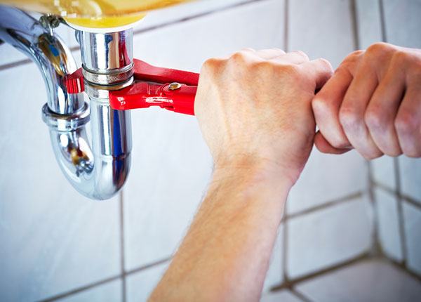 About Pingree Plumbers